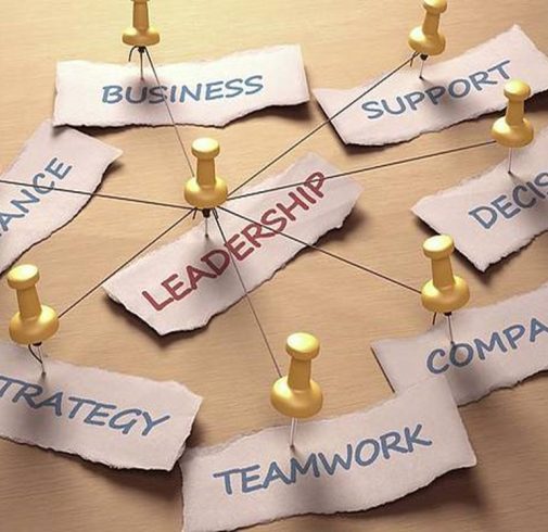 Leadership and Team Development